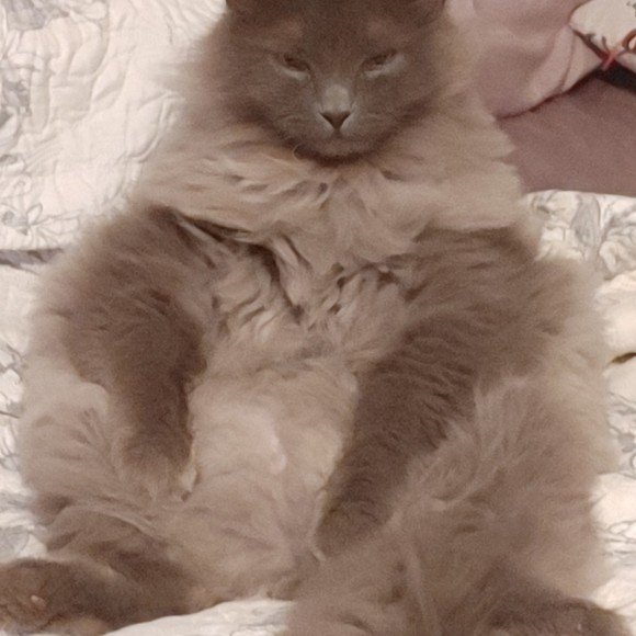 Meet your Posher, Michelle - Picture 1 of 1